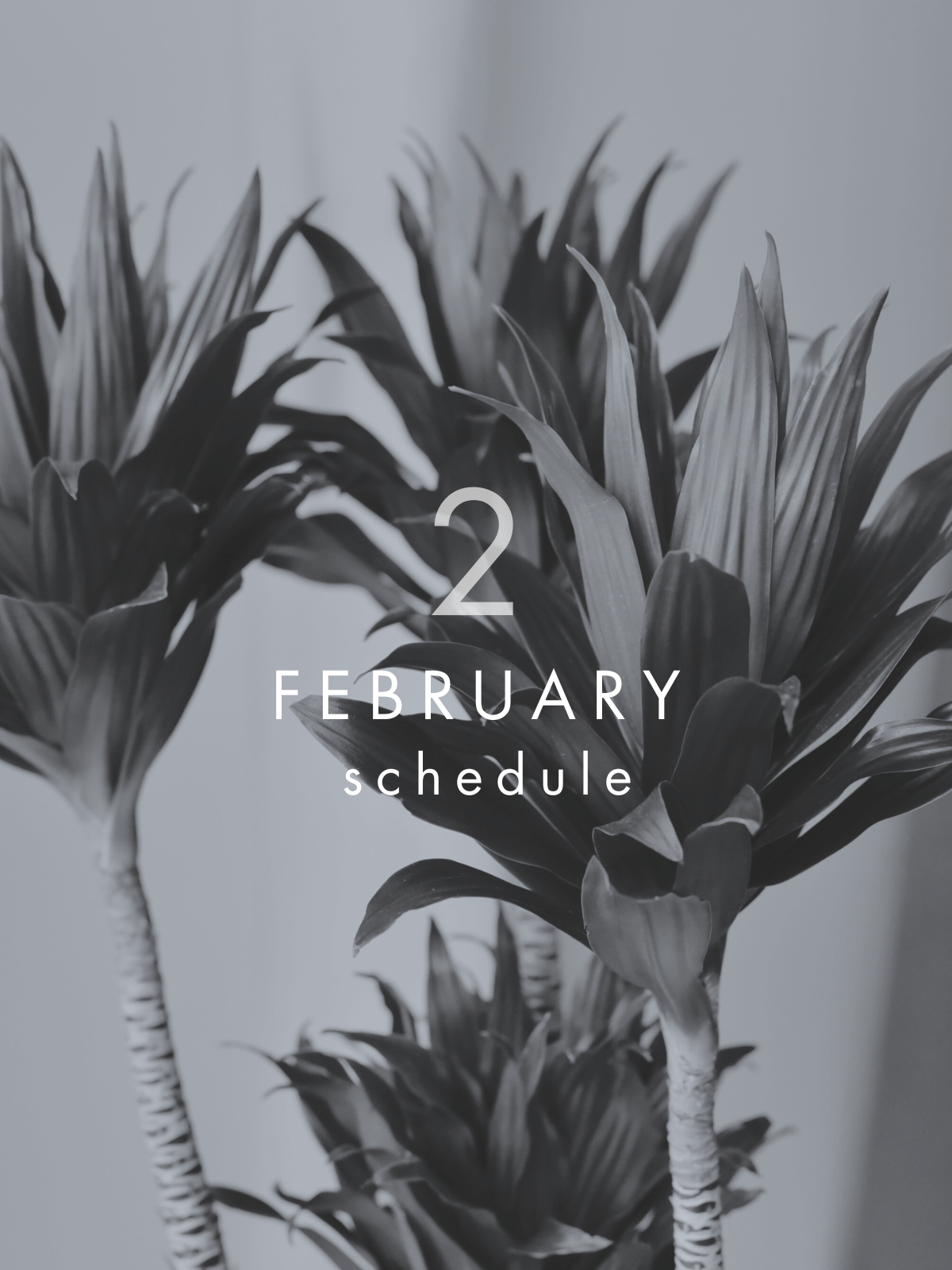 2月イベントスケジュール