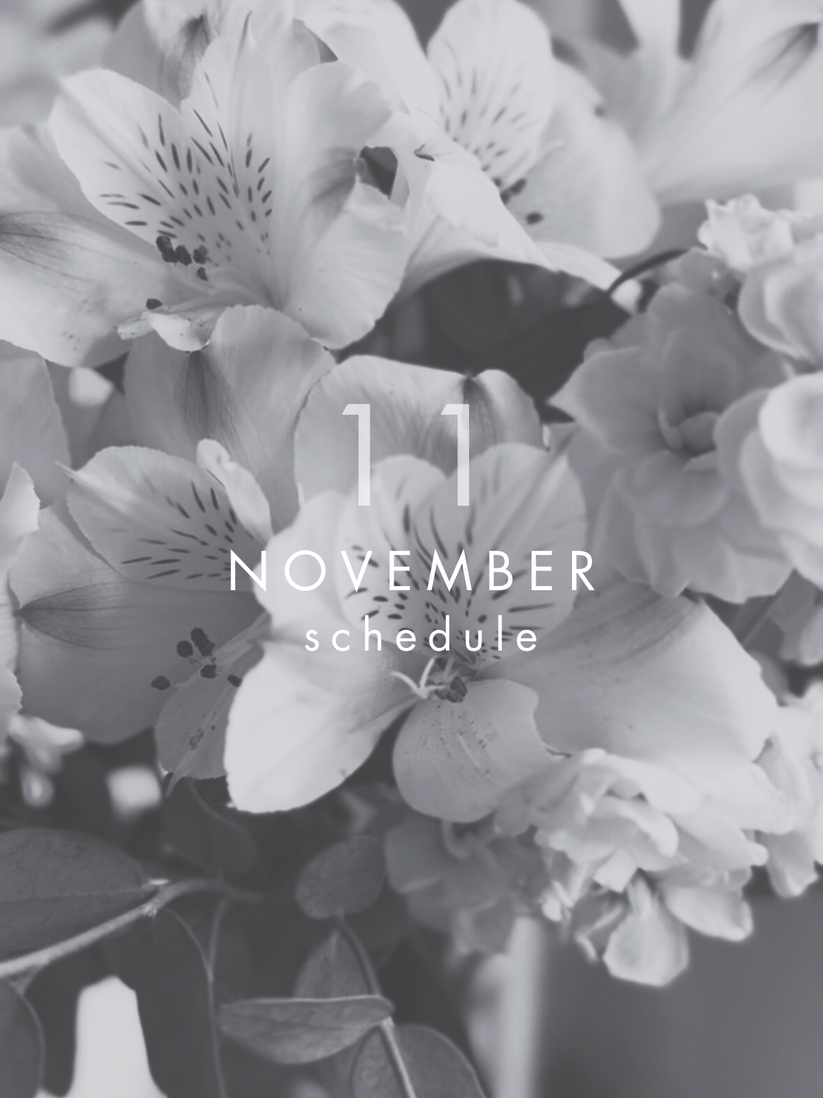 11月 イベントスケジュール