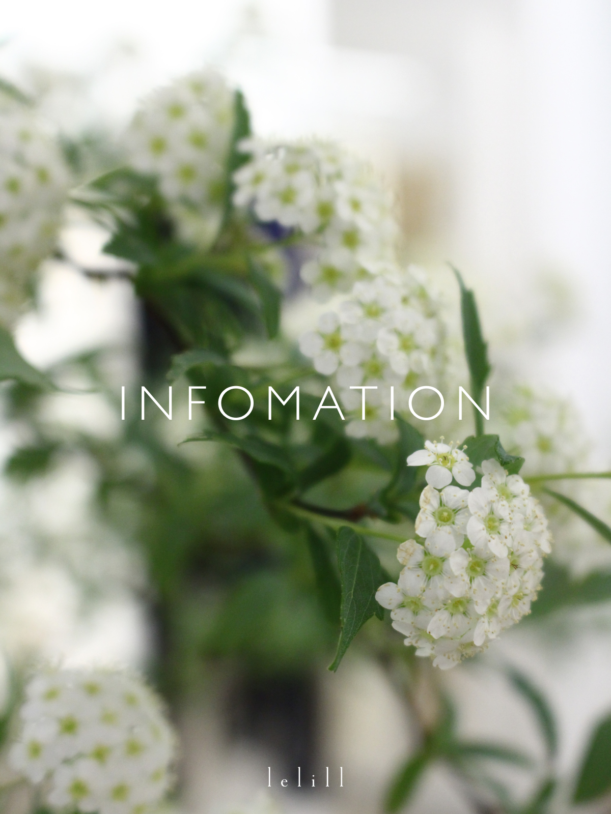 ゴールデンウィークの発送スケジュールのお知らせ