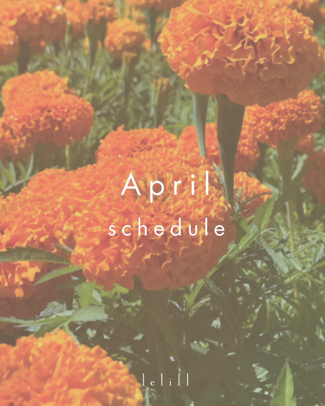 4月|レリルコミュニティ|イベントスケジュール