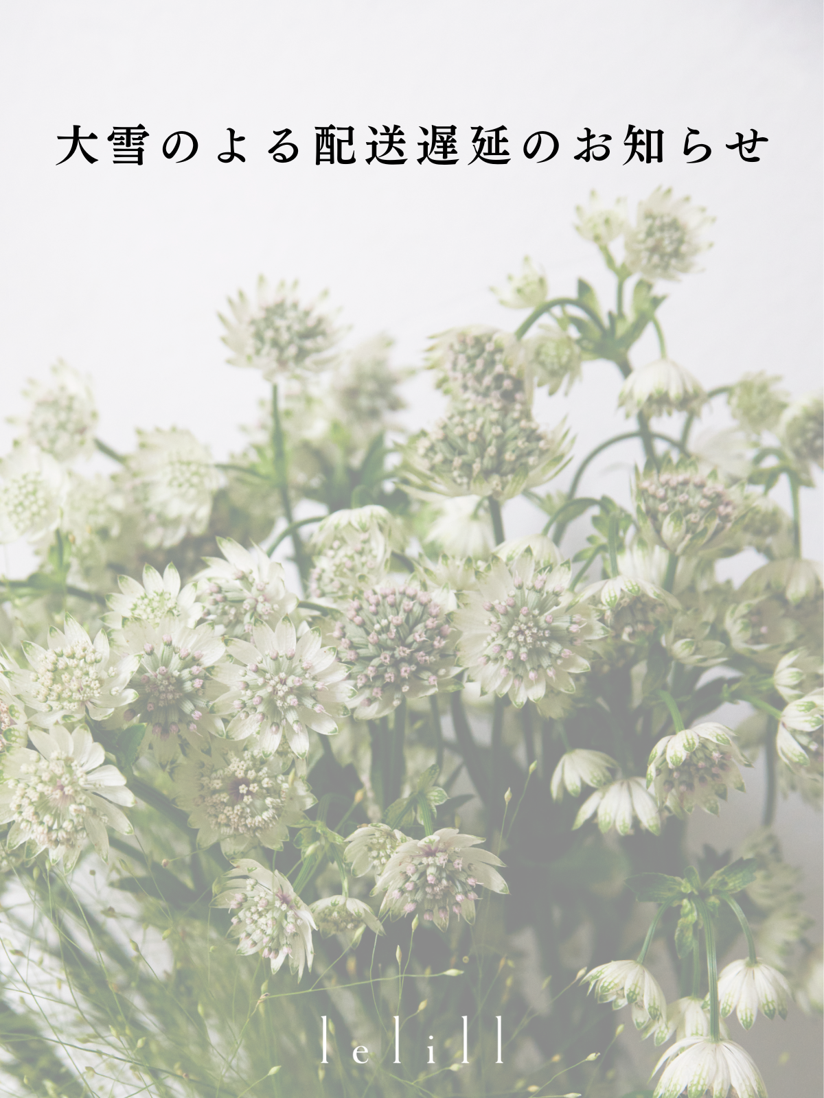 大雪によるお届け遅延のお知らせ