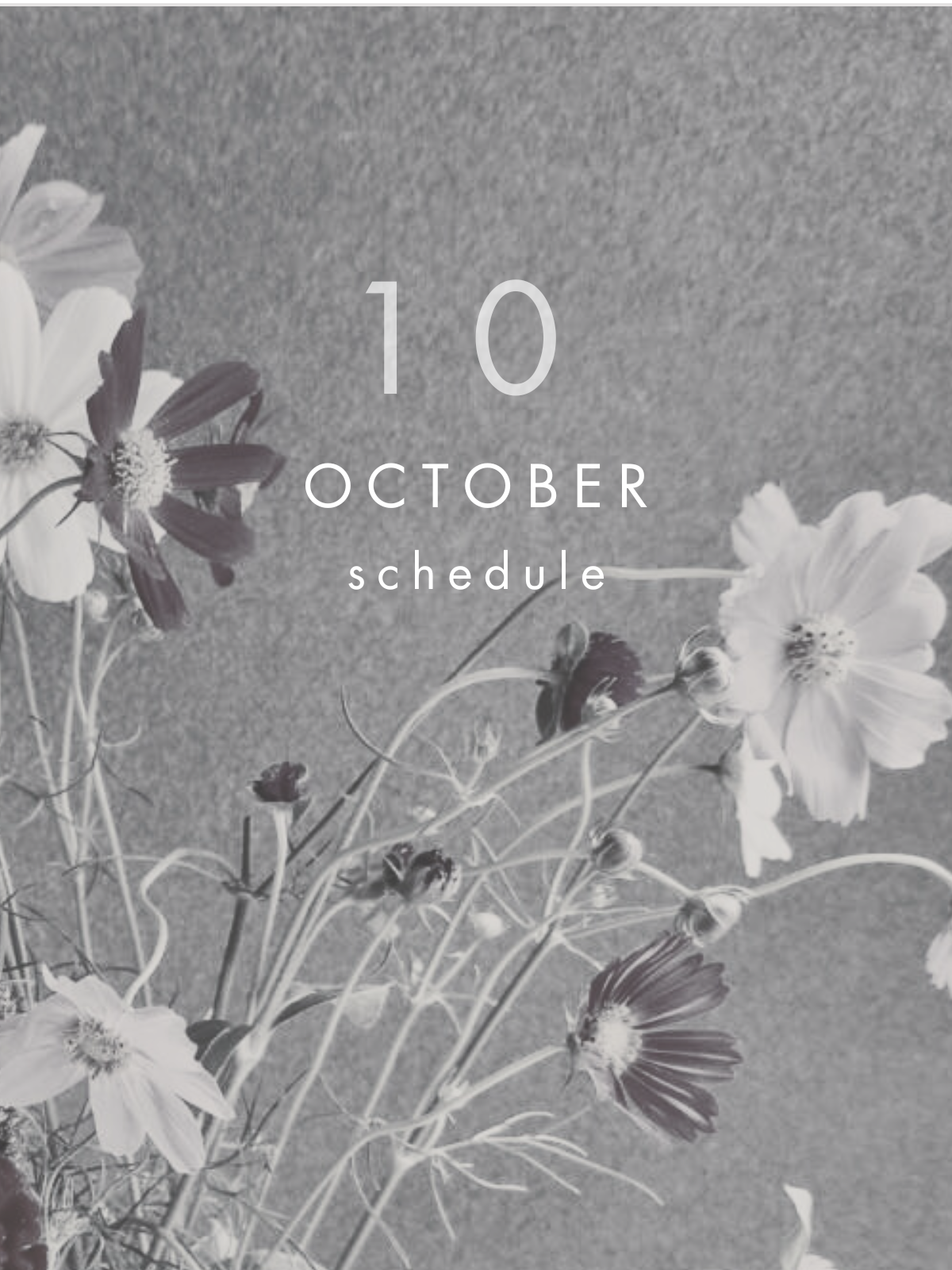 10月 イベントスケジュール