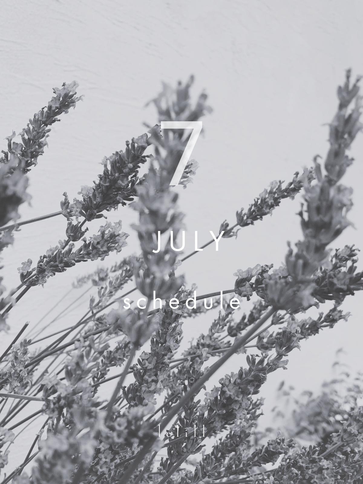 7月 イベントスケジュール