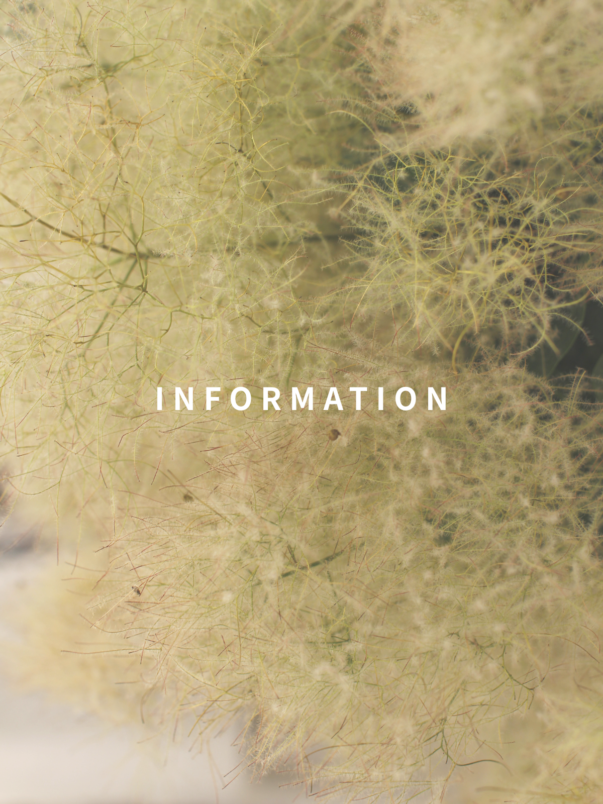 オフィス移転に伴う配送スケジュールに関して