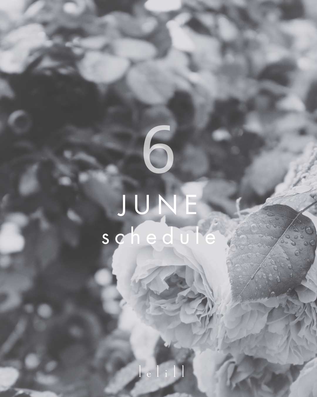 6月 イベントスケジュール