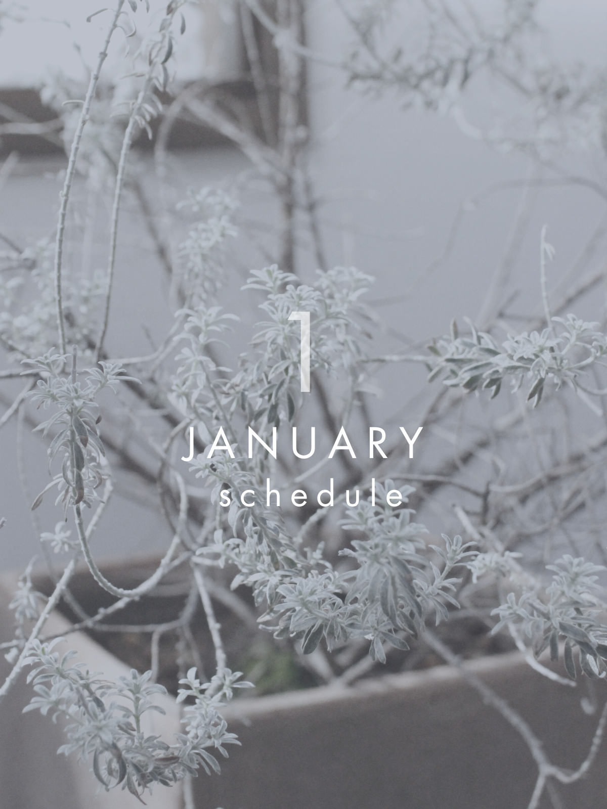 1月 イベントスケジュール