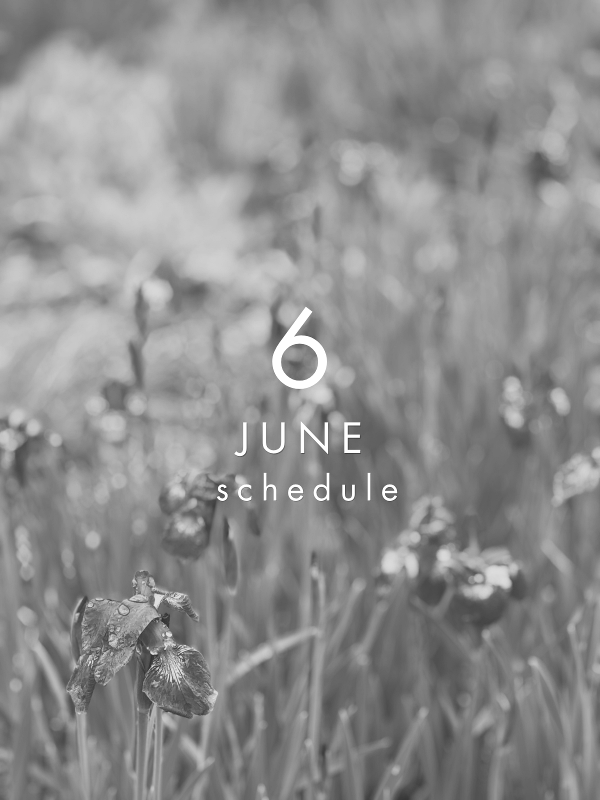 6月｜イベントスケジュール