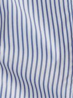 22： ブルーストライプ